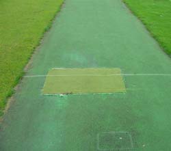 Poorly patched cricket carpet.