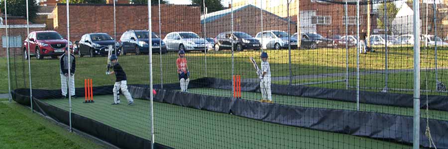 Cricket Cage Reconstruction