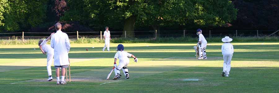 Cricket Ground Perimeter Netting Systems