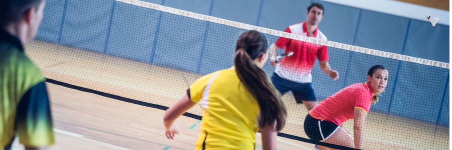 Edwards Sports Badminton Equipment 