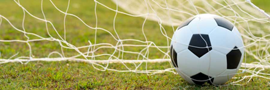 Edwards 3.6m 5-a-side Nets Edwards 3.6m 5-a-side Nets