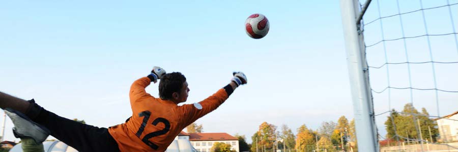 Senior Football Goals & Nets