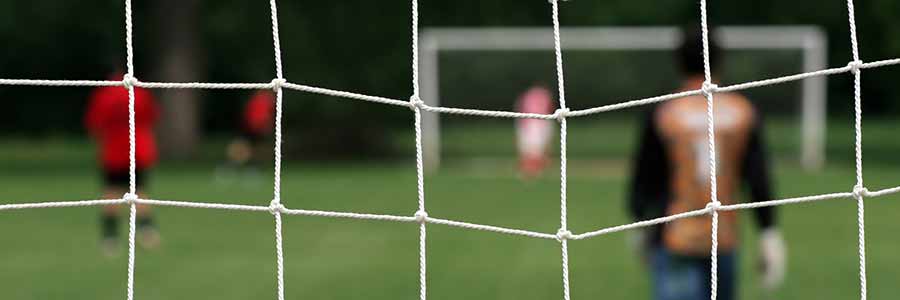 7.3m x 2.4m Specialised Aluminium Goal Football Nets