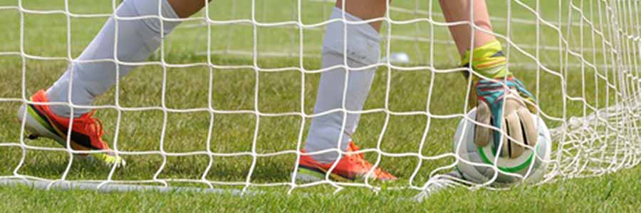 7.3m x 2.4m Straight Back Profile Senior Football Nets