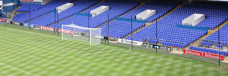 Football Crowd Protection Ball Stop Systems
