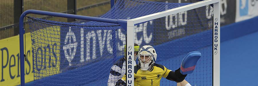 Replacement Hockey Backboards