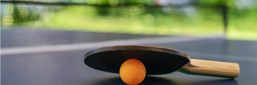 Indoor Table Tennis Tables