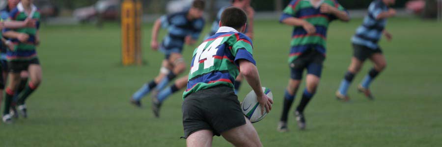 Hinged Steel Rugby Posts