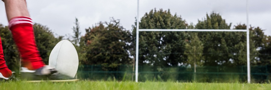 Hinged Steel Rugby Posts