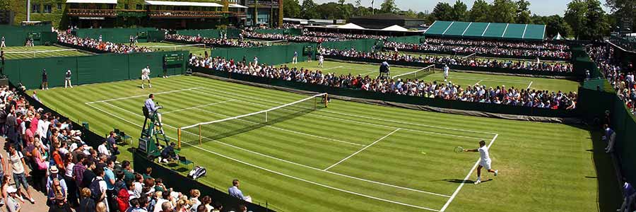 Grass Tennis Court Portable Netting Surrounds