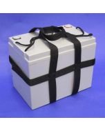 12V Battery for BOLA Professional Cricket Bowling Machines