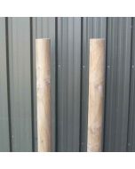 Pair of Illustrated Exercise Plate Support Posts