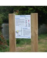 A3 Illustrated Exercise Posts, Plate & Print Set