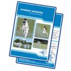 Cricket Surfaces - Refurbishment & New Installations