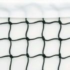Tennis Net for Integrally Weighted Posts