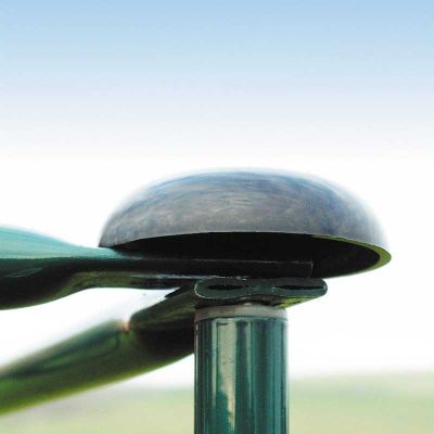 Pack of 10 Mushroom Caps