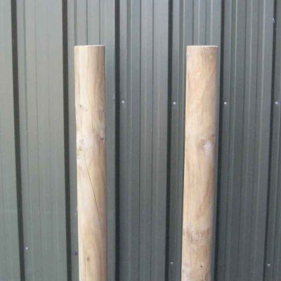 Pair of Illustrated Exercise Plate Support Posts