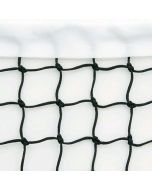 Tennis Net for Integrally Weighted Posts