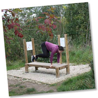 Fitness Trail Multi Exercise Bench