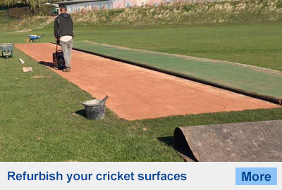 Cricket Wicket Replacement